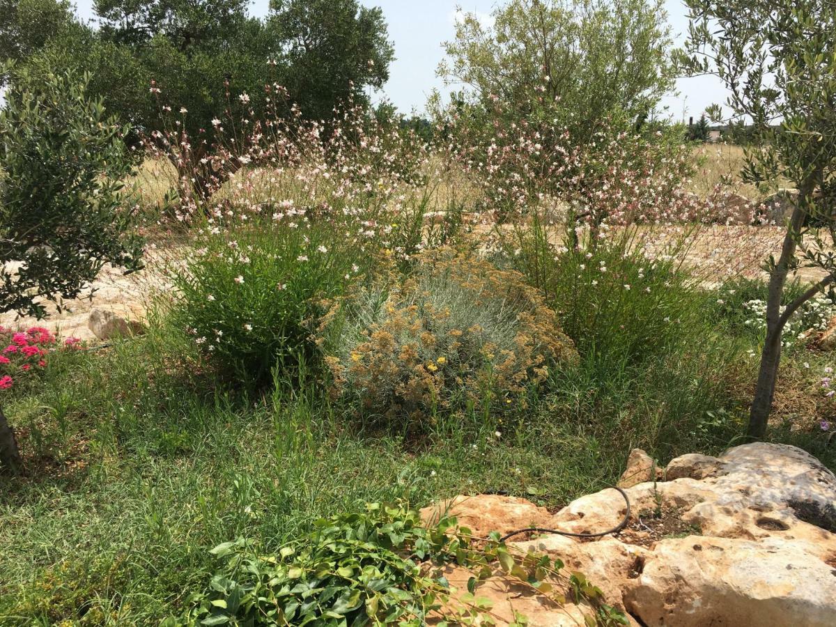 Trulli Relais Casa Gemma Villa Martina Franca Eksteriør billede